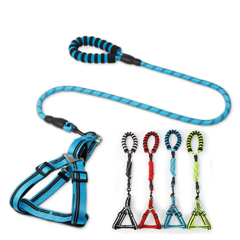 Blue dog harness and leash set with additional leashes displayed on a white background