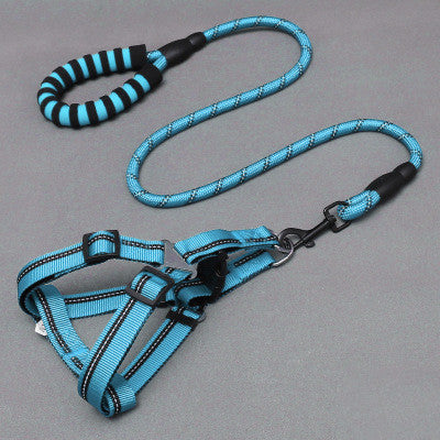 Blue and black striped dog harness and leash set on a gray background