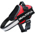 Red dog harness with a black patch displaying the word &