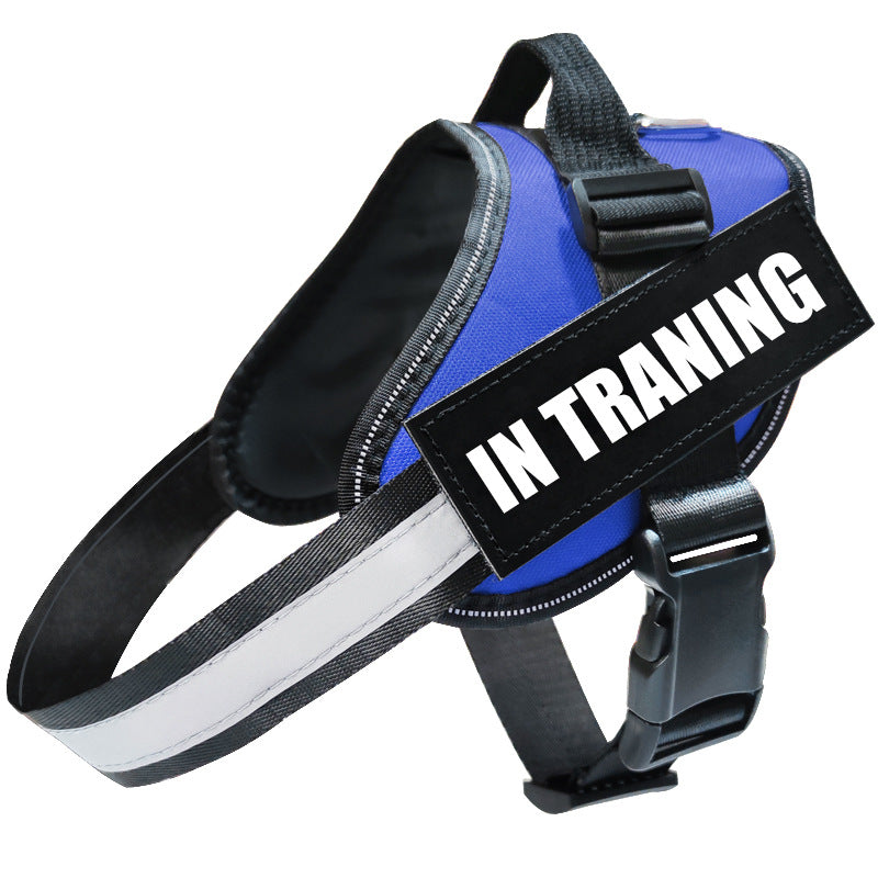 Blue dog harness with &
