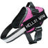 Pink dog harness with a black label saying &