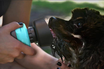 Pet outdoor foldable bottle dog travel water bottle