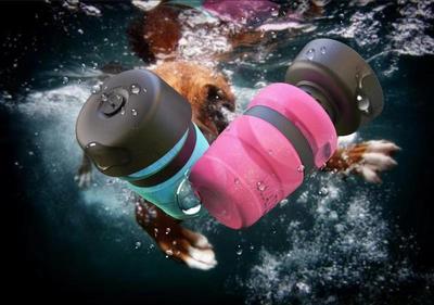 Pet outdoor foldable bottle dog travel water bottle