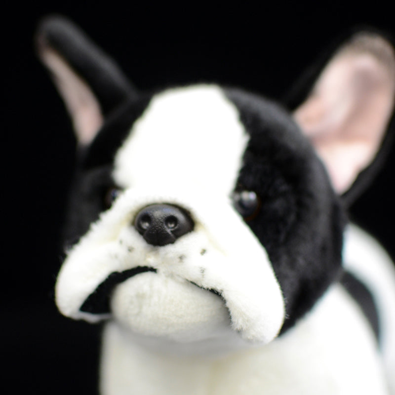 858b45ce9883a756aea4e3db57aa6c5b